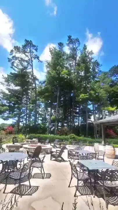 High noon at the winery 