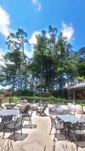 High noon at the winery