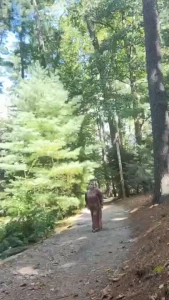 Autumn day on the estate want to help me show you mote beautiful