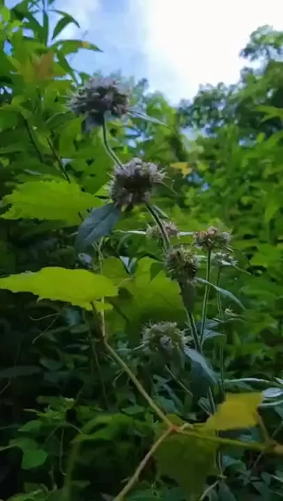 Another amazing adventure 