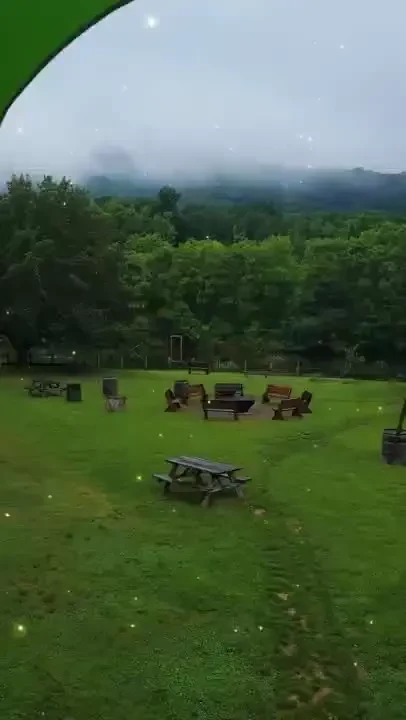 Out and about part 62 