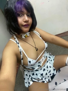 Ya est subido el set de vaquita