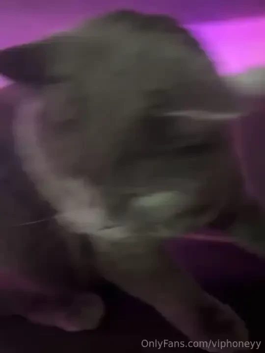 On the verge of trying to bite my beloved pet 