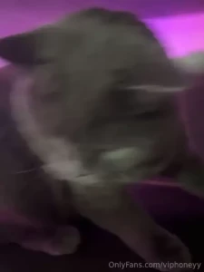 On the verge of trying to bite my beloved pet