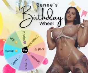 Renee s birthday wheel it s almost my birthday and i want to celebrate