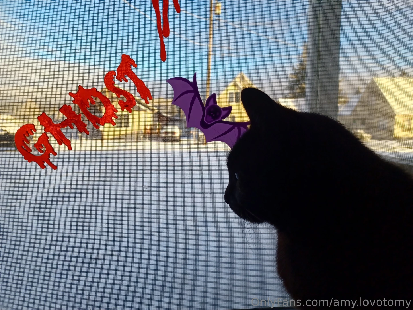 Hey i know i ve been lately and i m sorry it s been so fucking cold 
