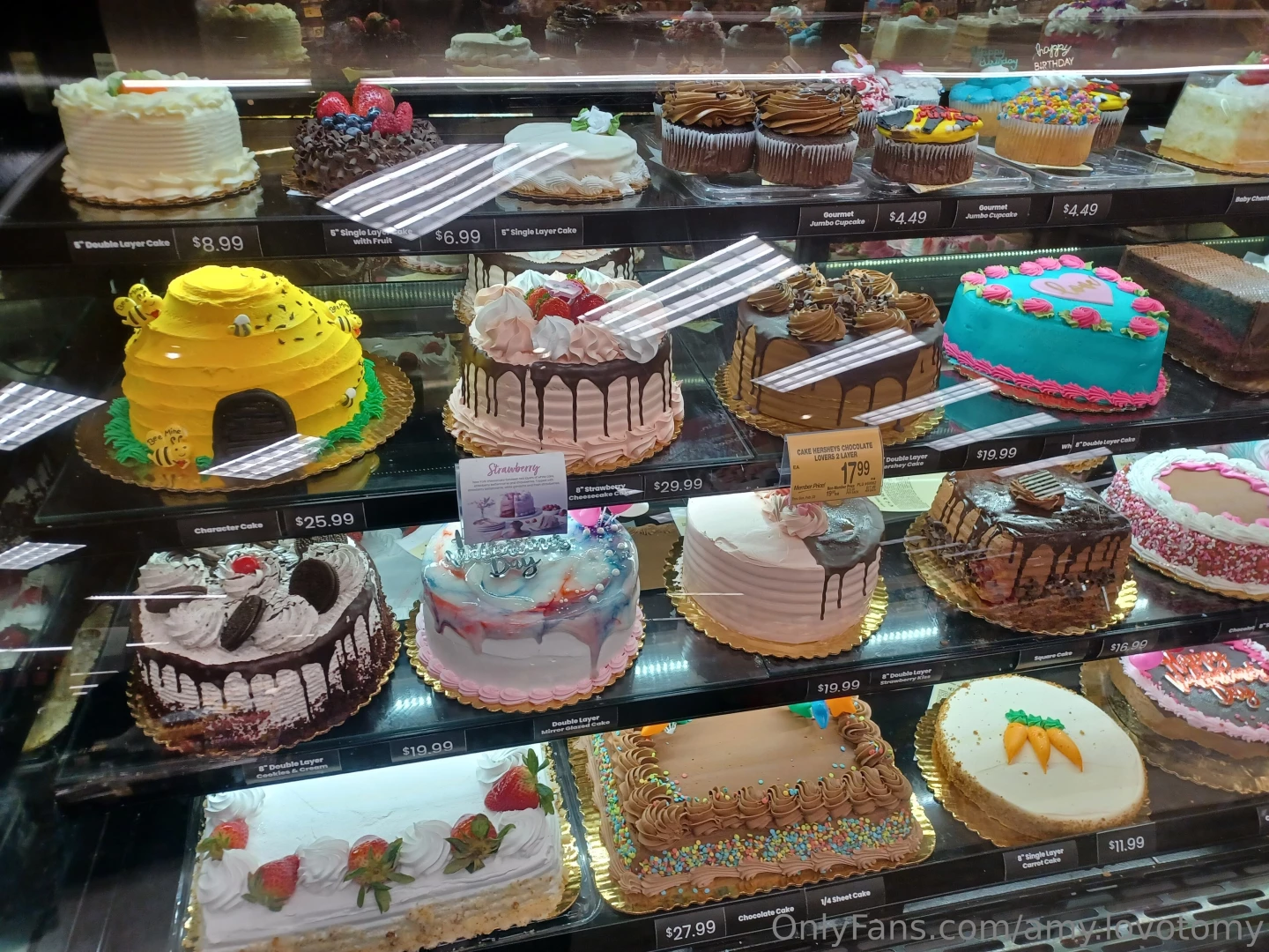 Here s my day so far just a lot of cute stuff part 4 