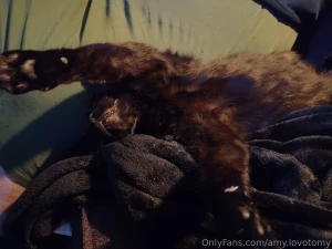 Here s my day so far just a lot of cute stuff part 7