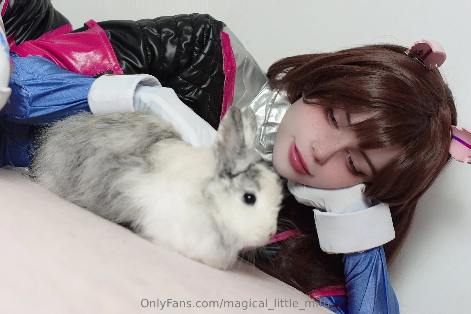 A bunny d va appeared 