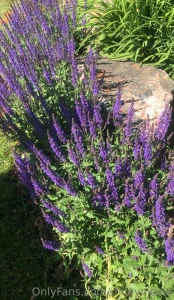 Happy friday my loves let s round out the week with a few pictures part 1