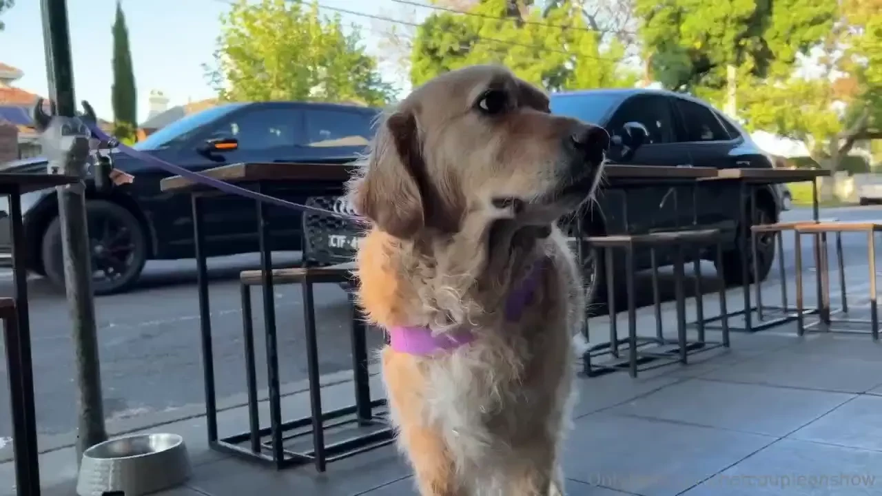 Our weekly vlog is live on our vip site come join our uncensored page 