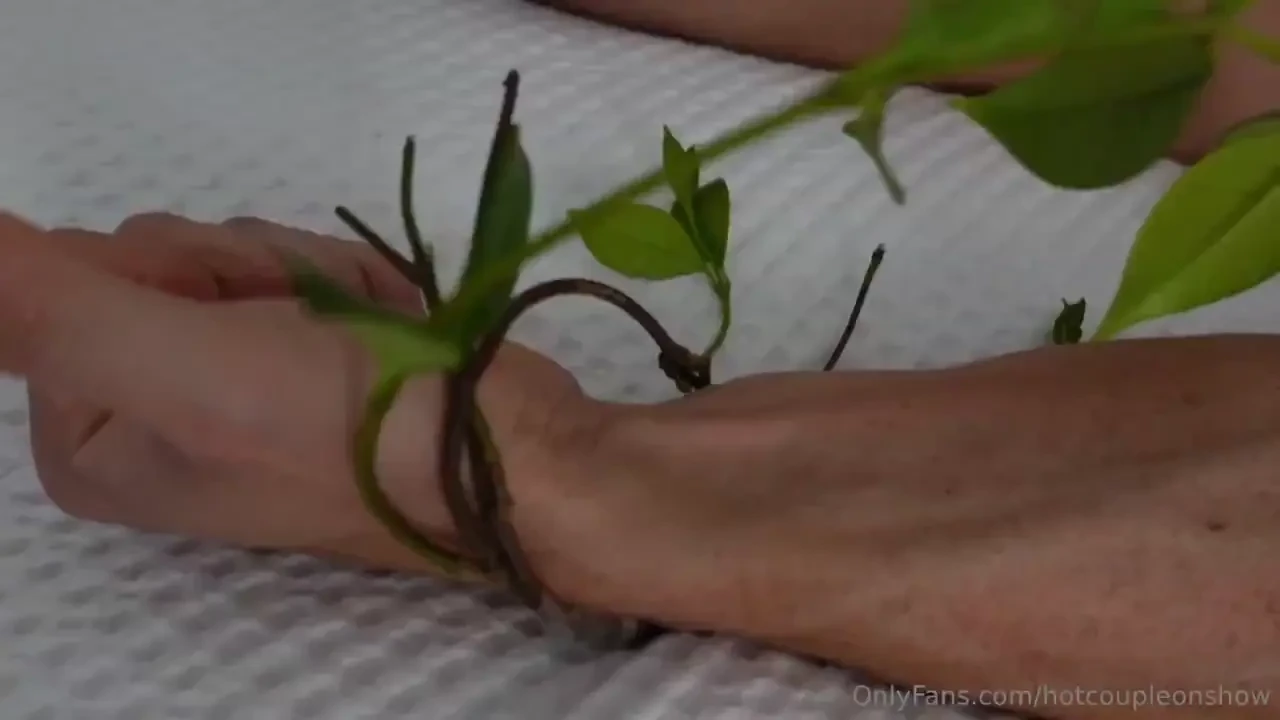 1 5 hours to receive our 2 free videos for halloween the poison ivy part 1 