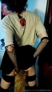 Kittytail 3