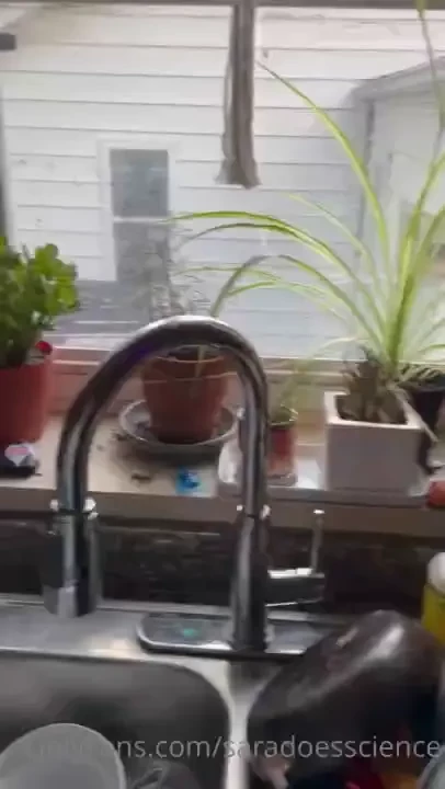 Nothing makes my day like coming home and seeing that another one of 