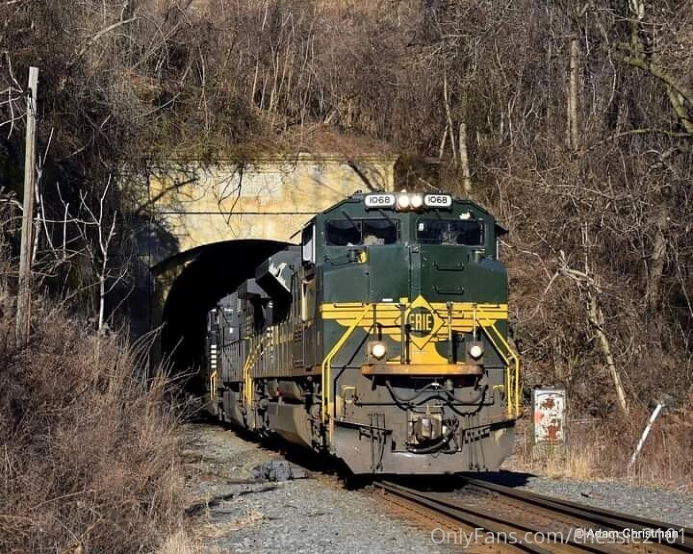 Jan 21st 2021 ns train h79 which comes into abrams as 38g pops out of 