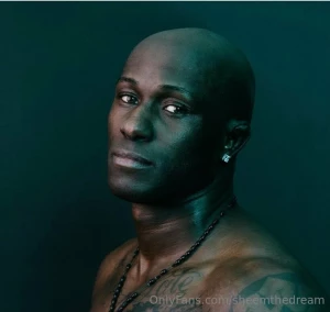 The dream your male entertainer and adult film actor stay tuned for