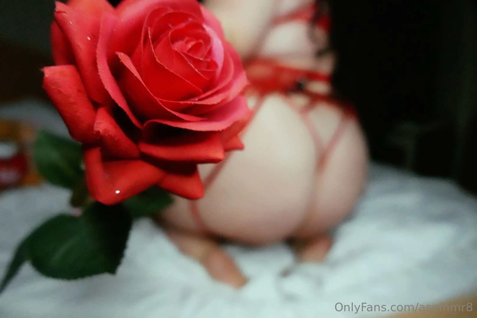 Prettier than a rose 