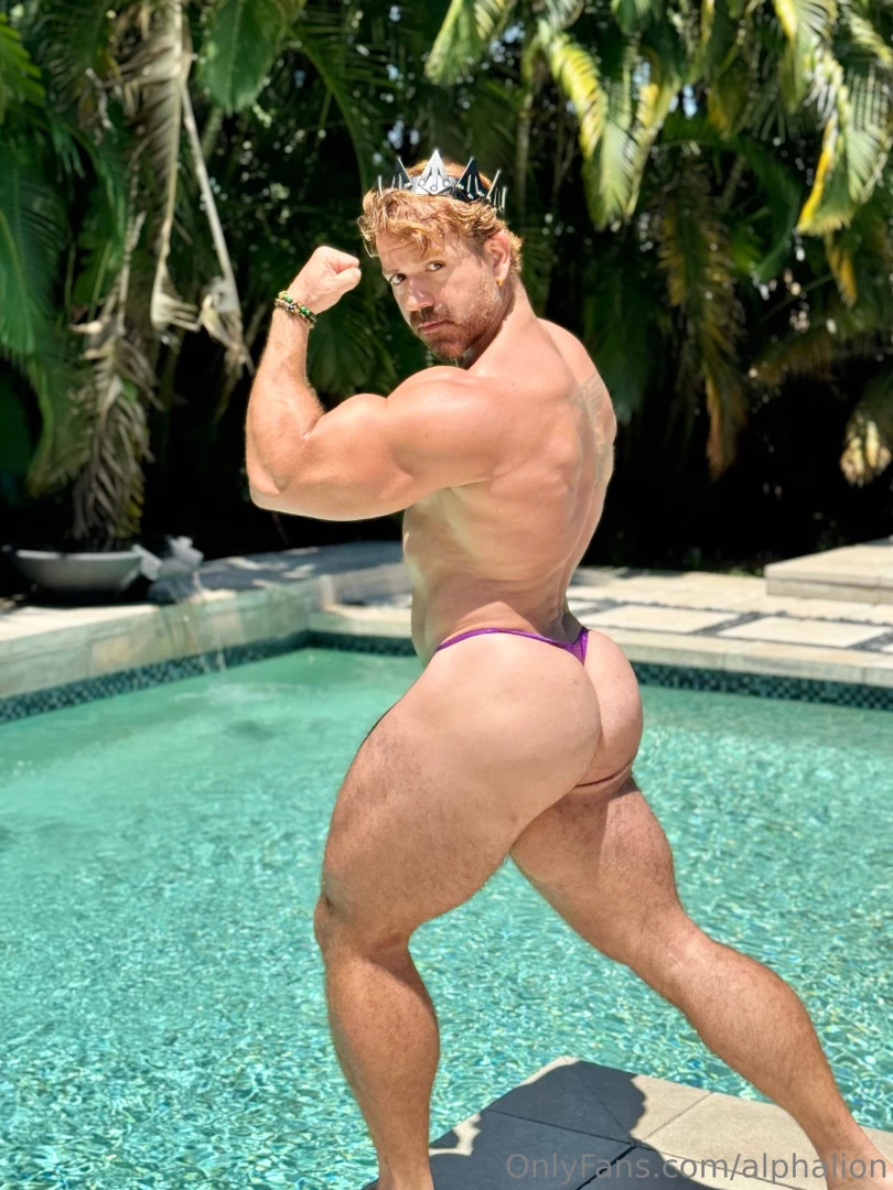 Your royal highanus 