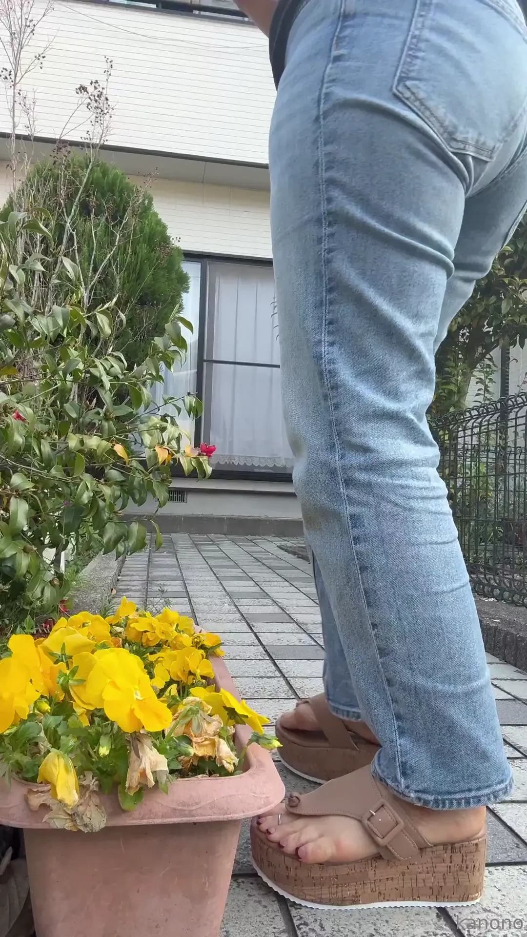 Sorry for taking a break for a while 