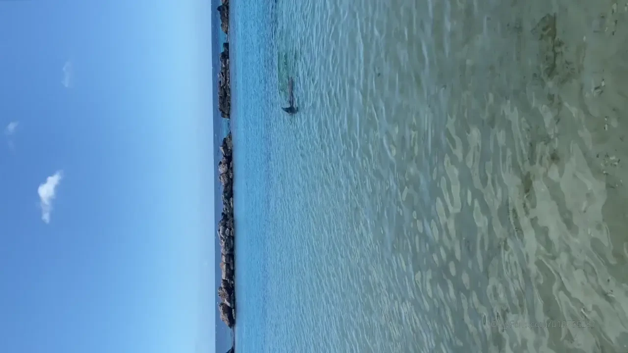 Omg i was swimming naked and this shark almost attacked me i caught it 