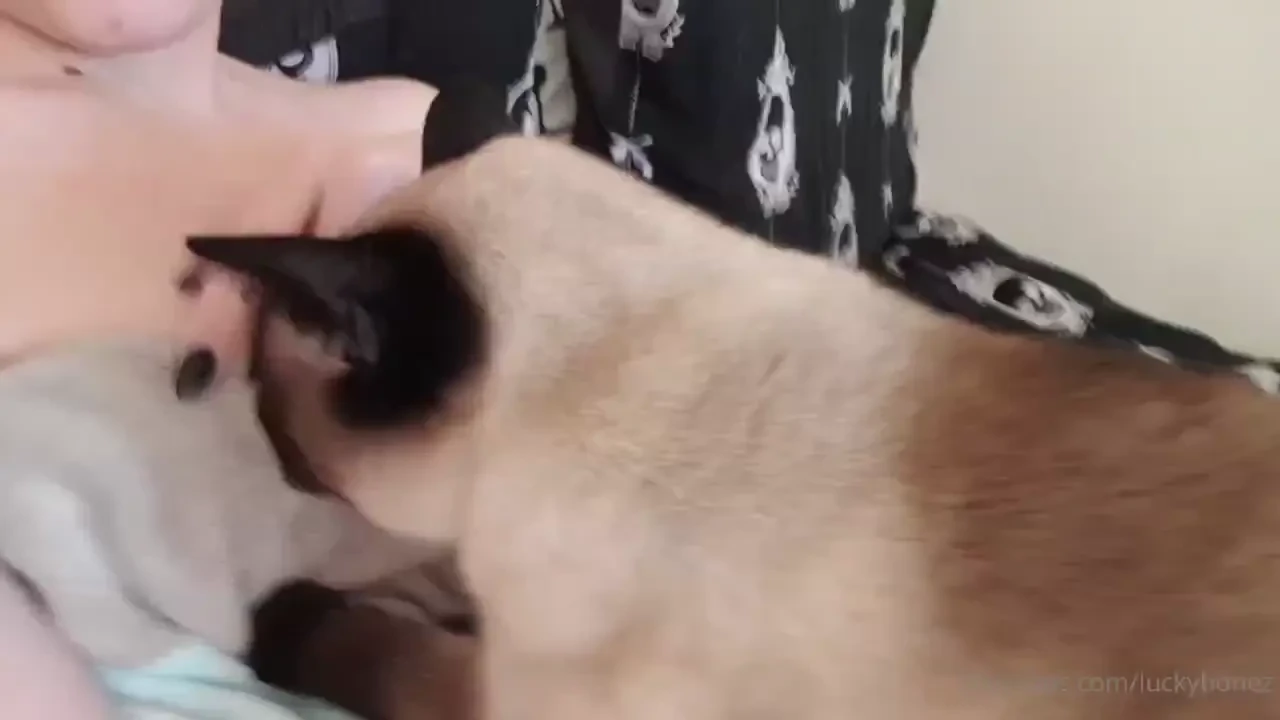 I was trying to get ready after my shower but my fur baby decided she 