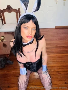 I put on the ears the cuffs and just enough attitude but the real show