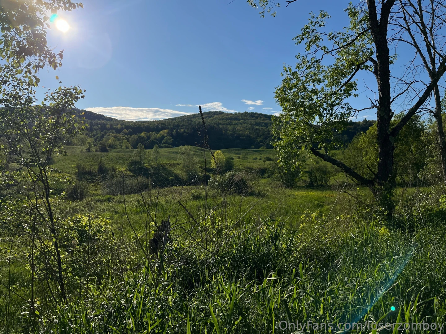 Suck me off in the sun 