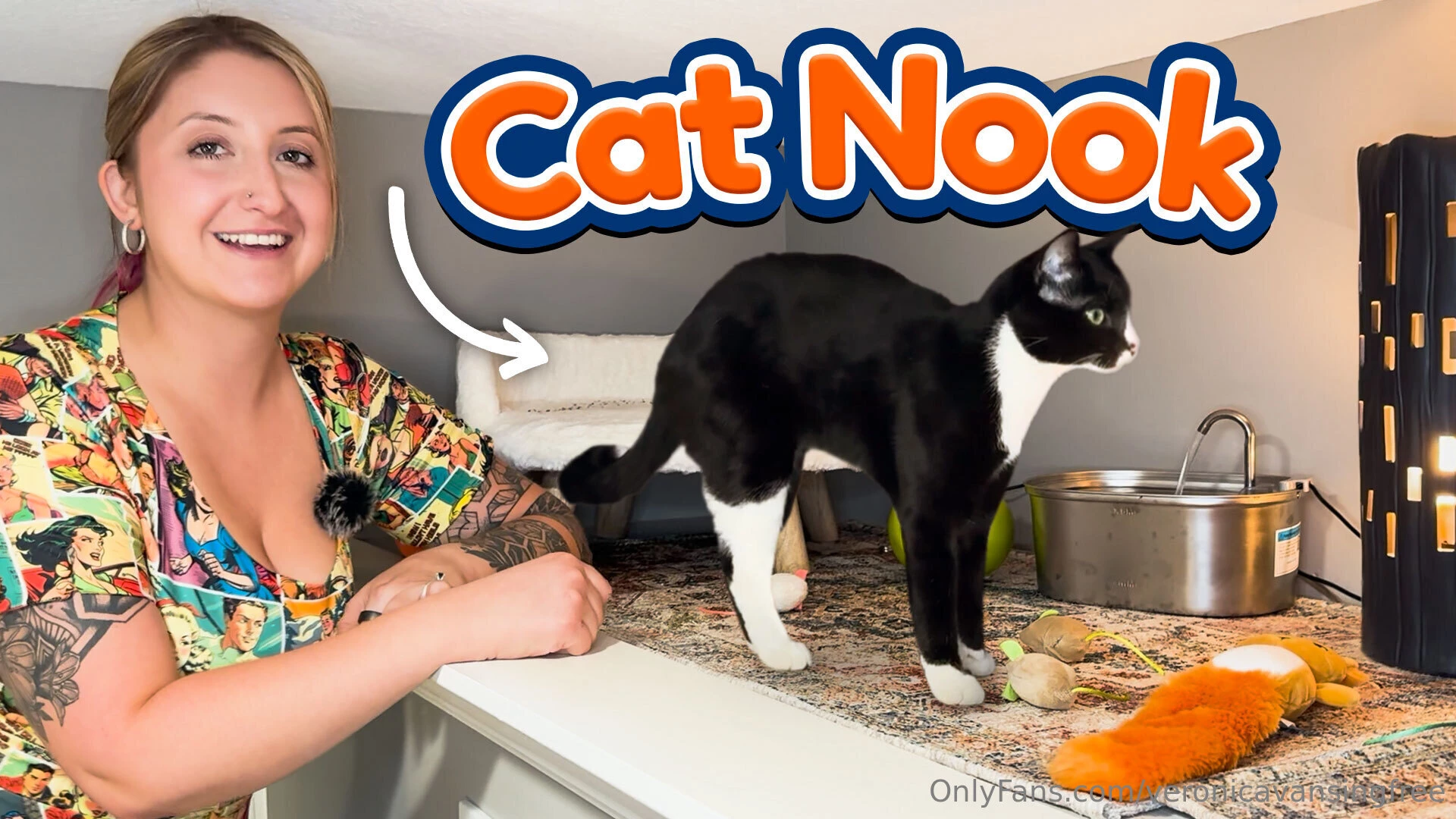 Setting up a cat nook with me my kitties love climbing to all the high 