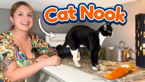 Setting up a cat nook with me my kitties love climbing to all the high