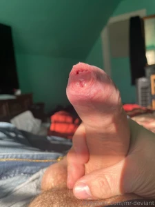 Happy monday all hope it s nice and sunny where you are part 4