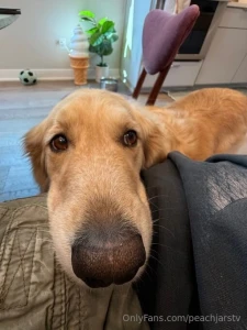 Really popped off with this egg drop soup part 1