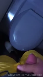 Sometimes you gotta cum at 38 000ft in the air