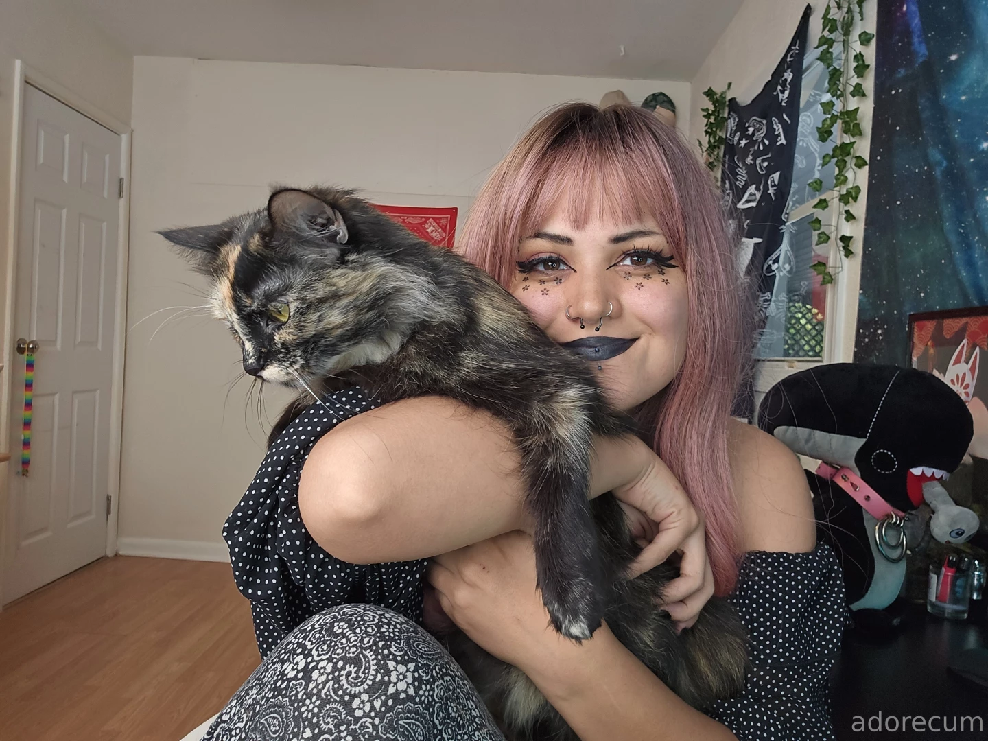 Bts of my meet my cats amp dog video going up on youtube next part 1 