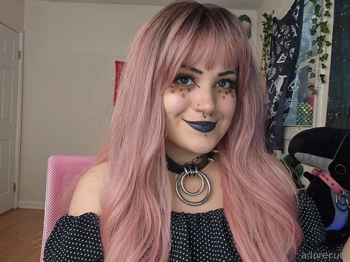 Bts of my meet my cats amp dog video going up on youtube next 