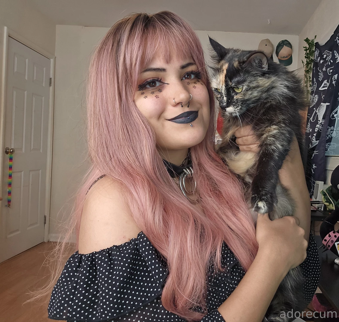 Bts of my meet my cats amp dog video going up on youtube next part 2 