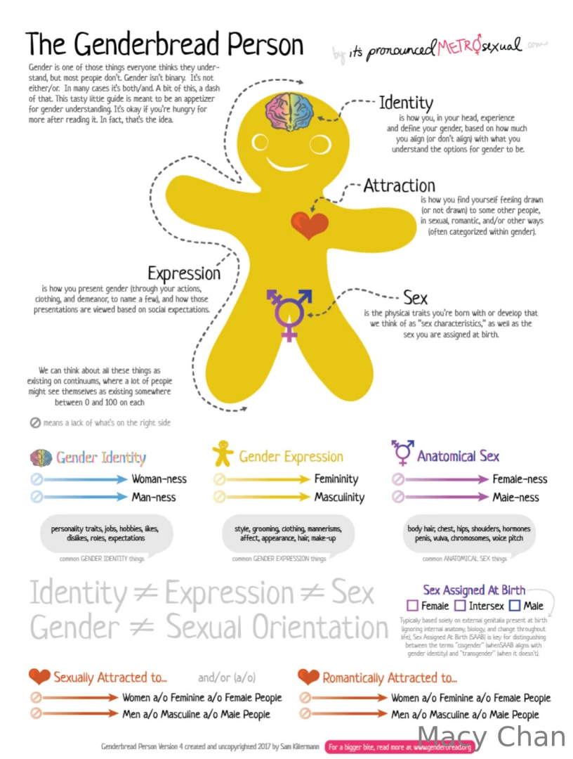 Amp lgbt d doing gender and why is matters from hku 