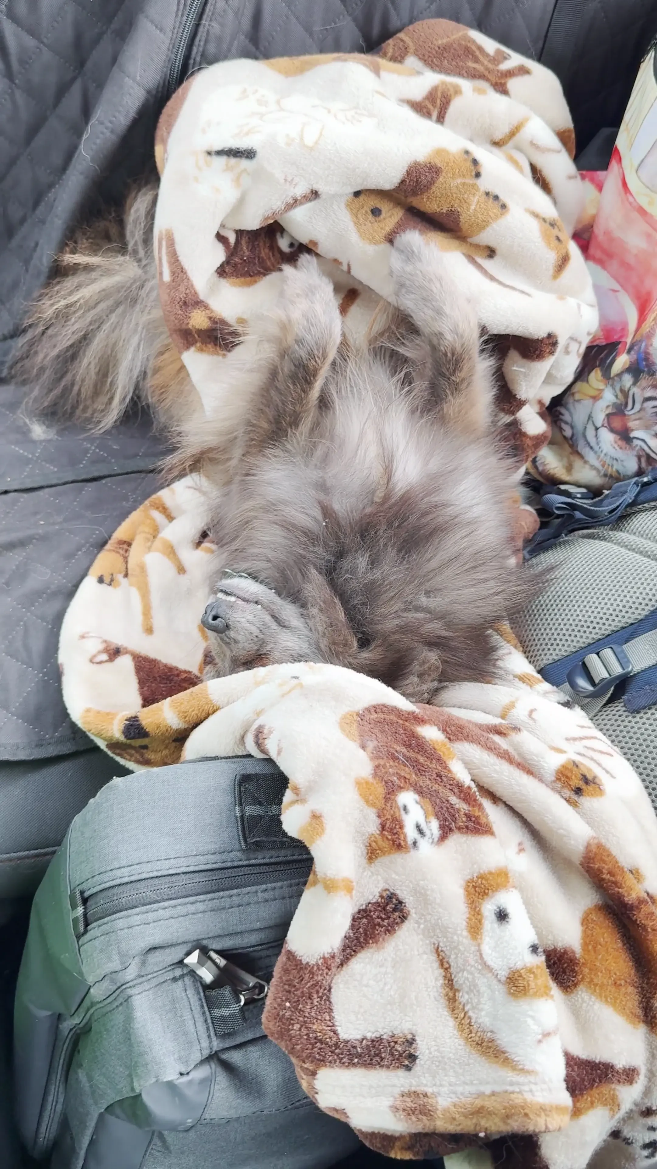 Road trip day 4 today was such a fun day i went sight seeing in part 1 