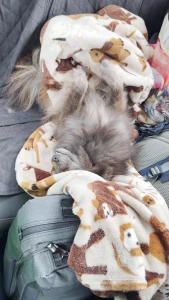 Road trip day 4 today was such a fun day i went sight seeing in part 1