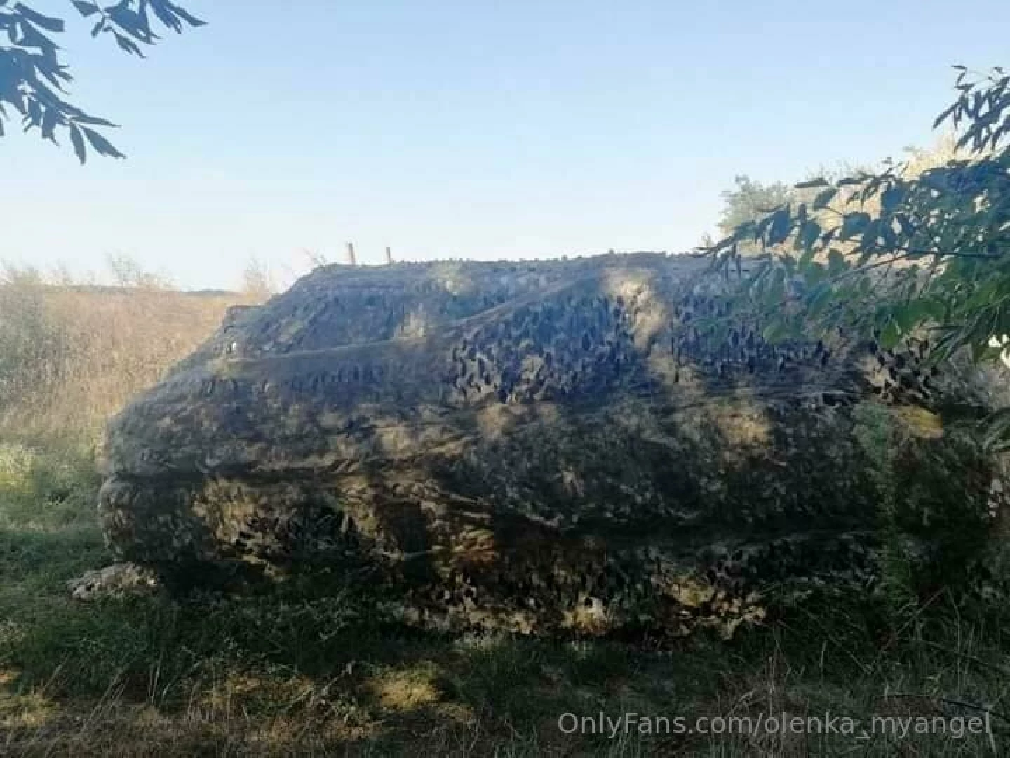 I cover our fighters 