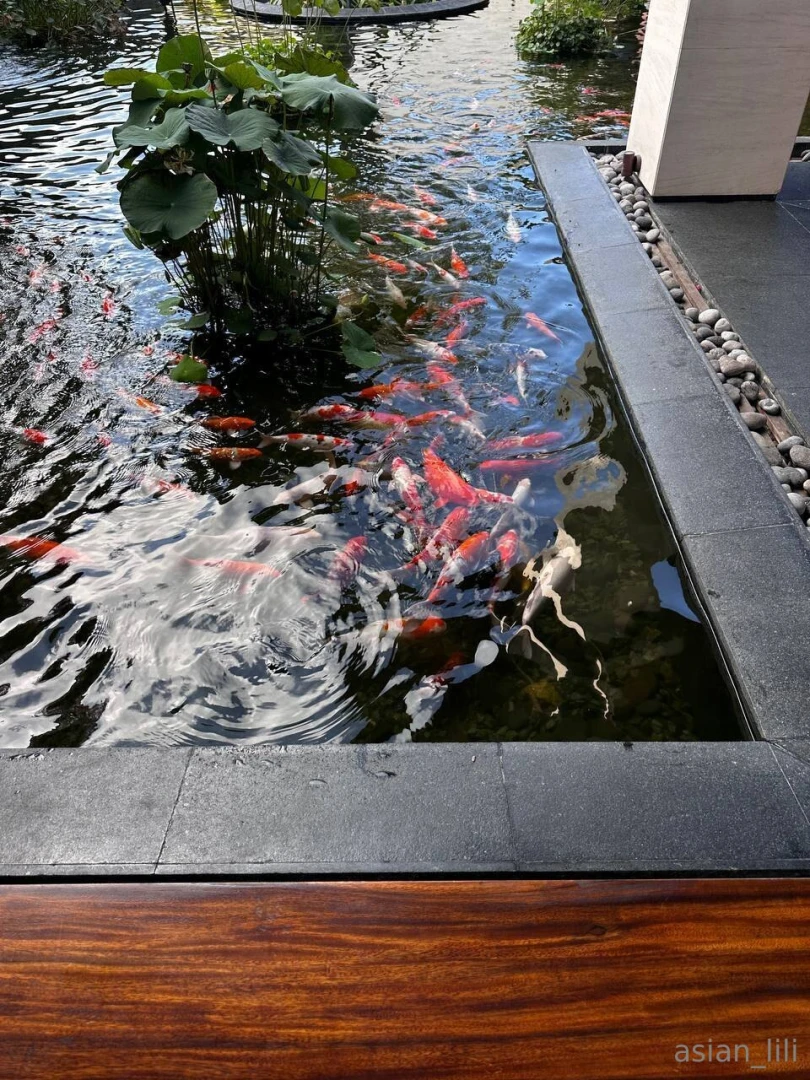 Island chronicles this place it doesn t just look like paradise 