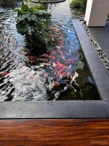 Island chronicles this place it doesn t just look like paradise