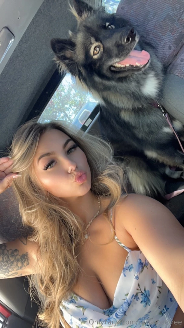 Are you a dog or a cat person 