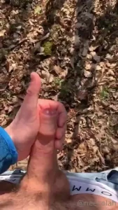 Morning woods part 1