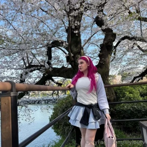 You really have to see cherry blossoms in person