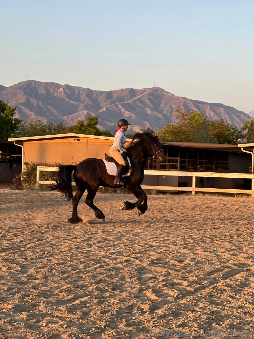I can t believe how majestic horses can be 