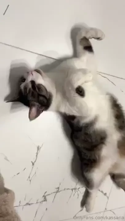 Many people spend their whole lives searching for true love and 