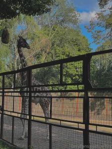 Little africa in the middle of kyiv