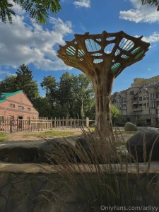 Little africa in the middle of kyiv part 3