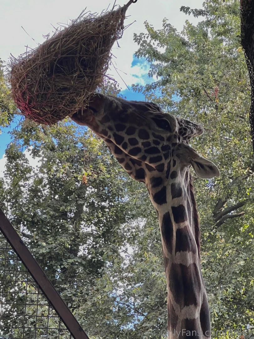 Little africa in the middle of kyiv part 1 