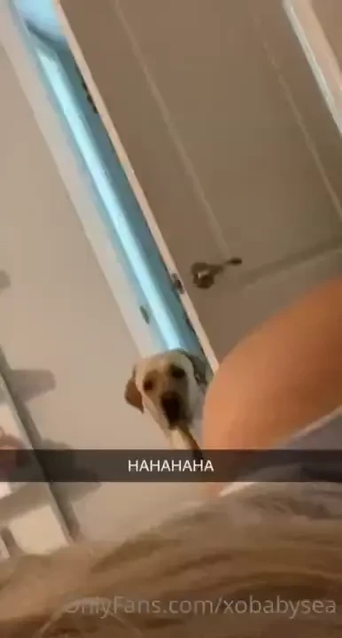 A little comedy for your feed 